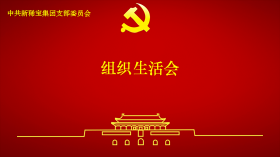 新稀寶黨支部召開(kāi)2024年度組織生活會(huì)及民主評(píng)議黨員會(huì)議