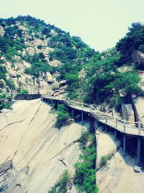 “我愛新稀寶　我愛大自然”員工旅游自由拍活動圓滿結(jié)束