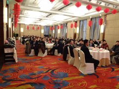 2015 積蓄力量，2016 大勝歸來